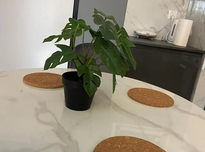 Dream كراكوفيا